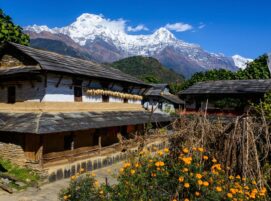 Popular Trek Annapurna Base Camp