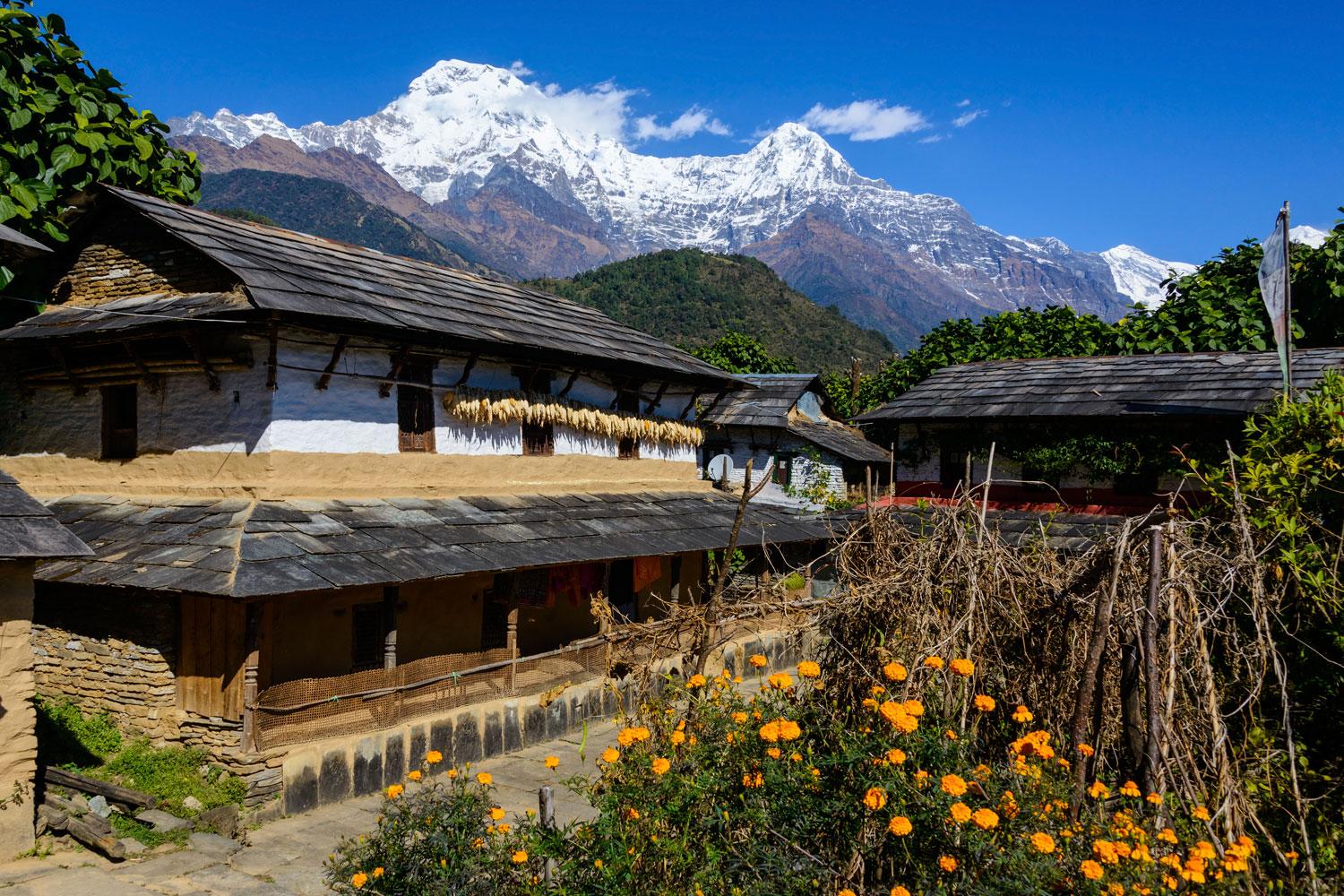 Popular Trek Annapurna Base Camp