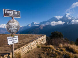 Ghorepani Poon Hill Trek