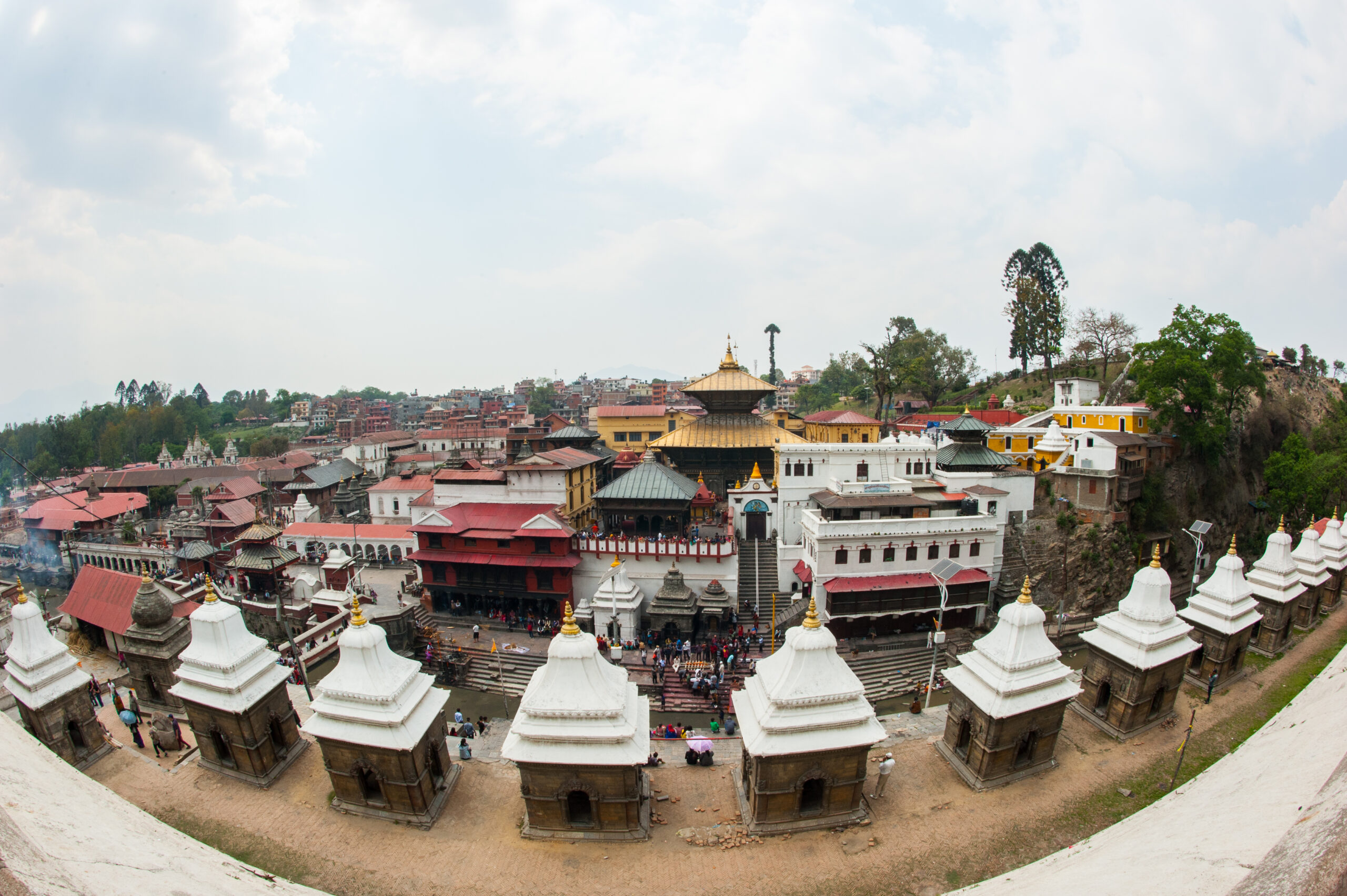 Taste of Nepal