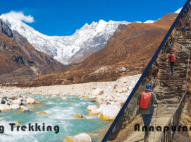 Langtang Vs Annapurna Circuit Trek 