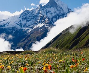 Best Monsoon Treks in Nepal for Beginners