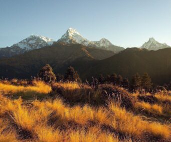 Ghorepani Poon Hill Trek Itinerary and Cost
