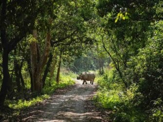 7 Days Nepal Tour Package: Chitwan, Pokhara & Nagarkot