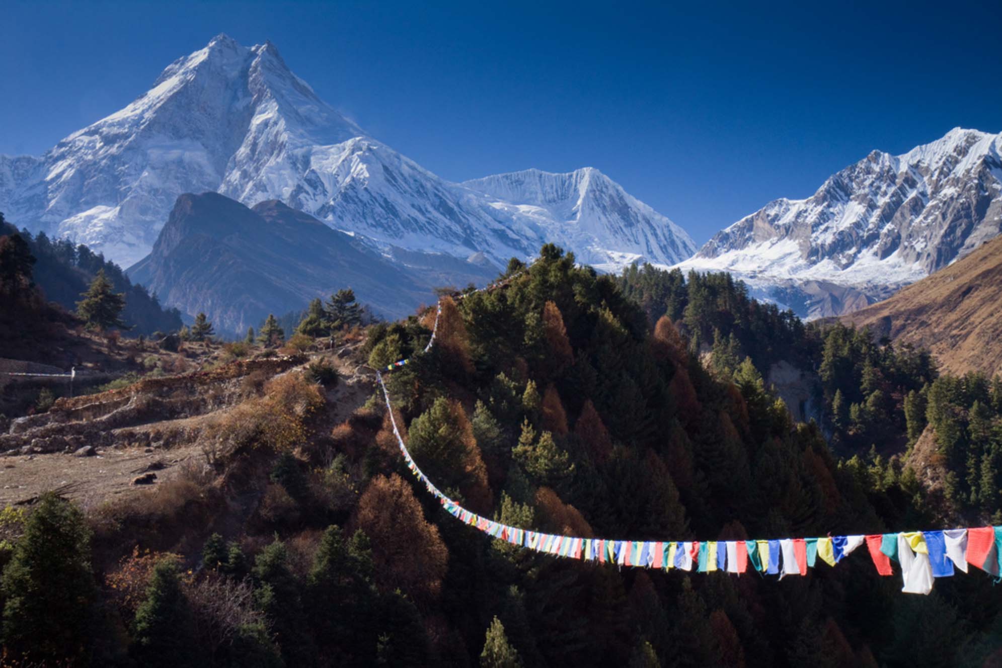 Best Time to Trek Manaslu Circuit 2026: Weather, Crowd, Scenic Views, and Expert Tips