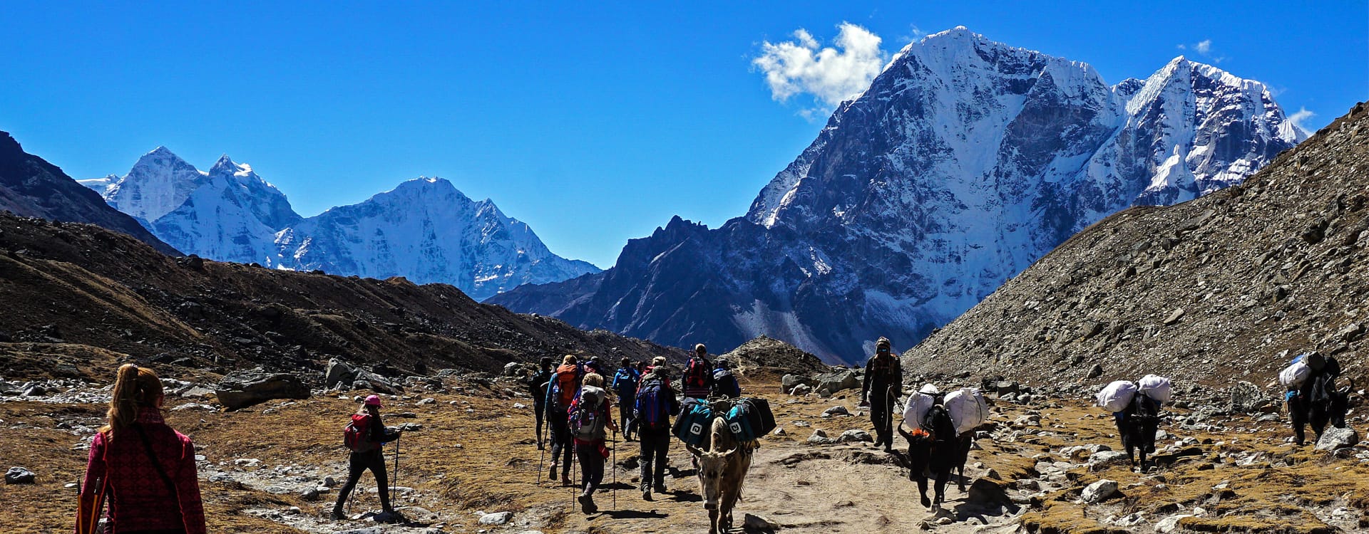 Trekking in Nepal 2026: Why it is still a top choice