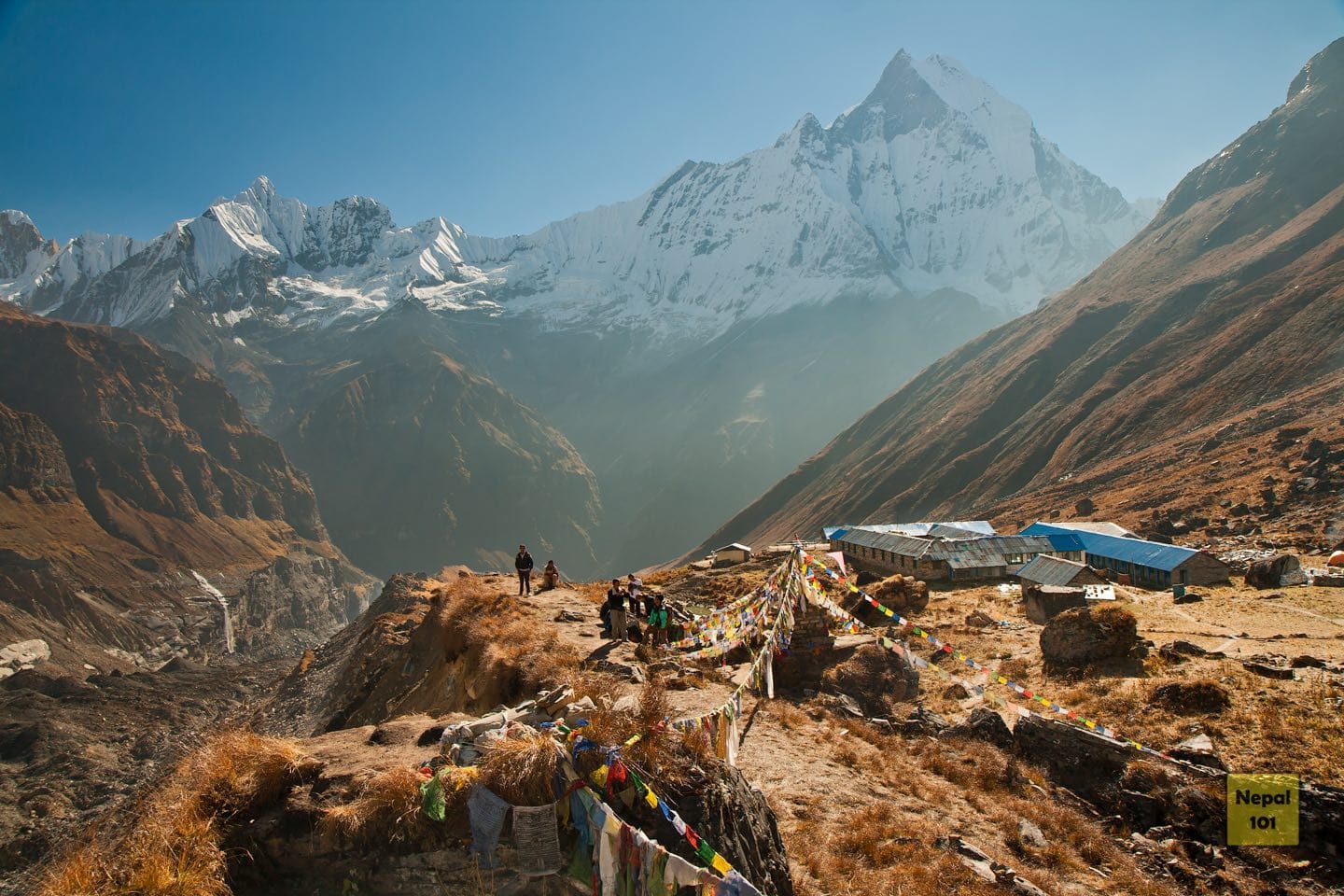 Annapurna Base Camp Trek for Beginners 2026: Complete Guide