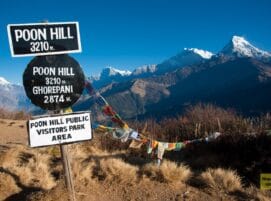 Poon Hill Trek 2026: Easy Short Trek for Beginners