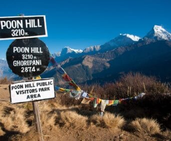 Poon Hill Trek 2026: Easy Short Trek for Beginners