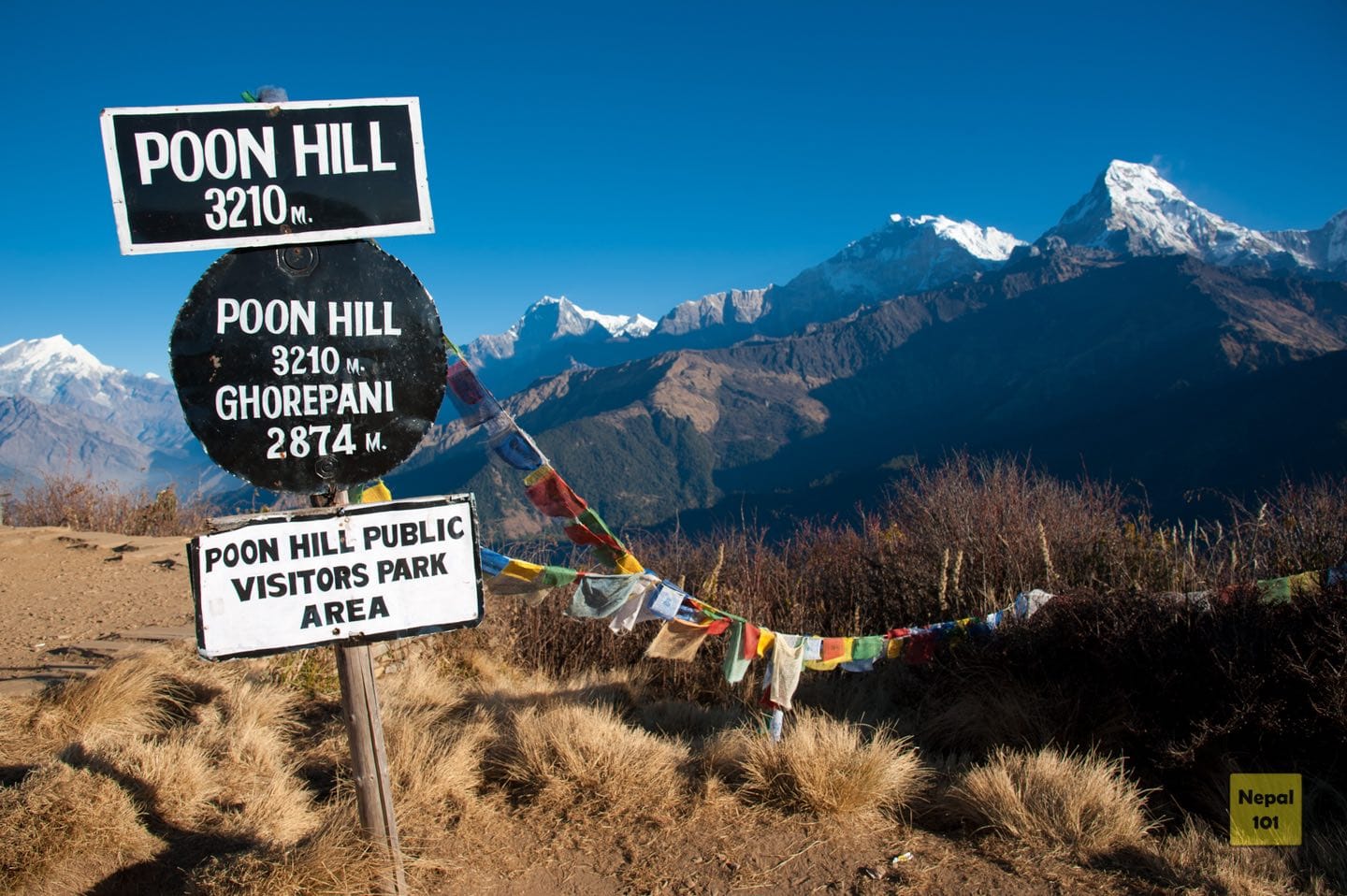 Poon Hill Trek 2026: Easy Short Trek for Beginners